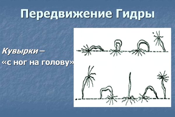 Официальный сайт kraken ссылки зеркала