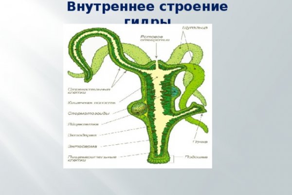 Ссылка в магазин на кракен